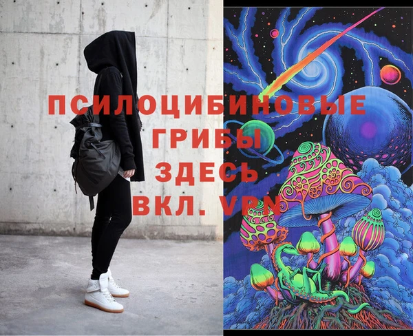 шишки Балахна